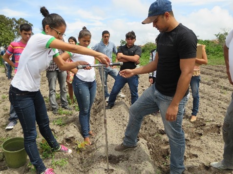 Aula de campo na prática